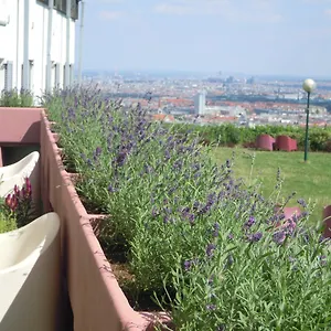  Hostel Palace